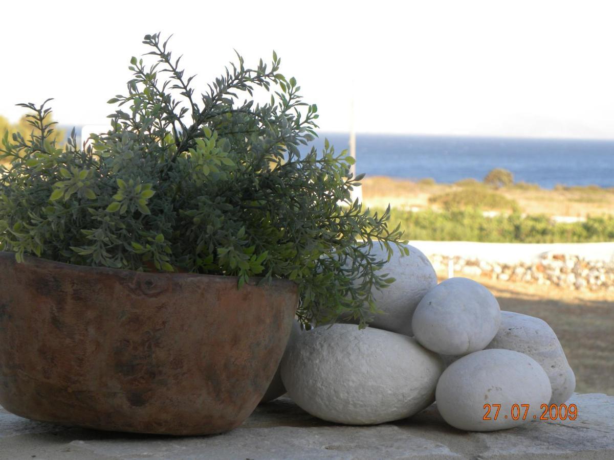 Villa Petradi Ambelas Bagian luar foto